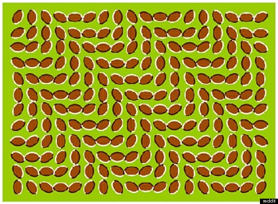 OPTICAL-ILLUSION