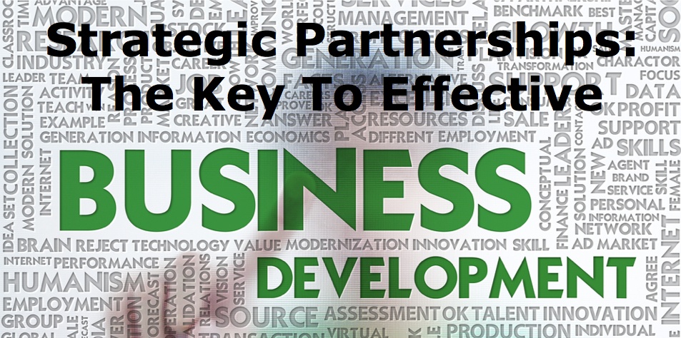 239 Strategic Partnerships: The Key To Effective Business Development