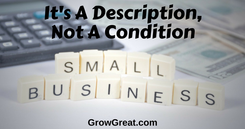 Small Business Is A Description, Not A Condition