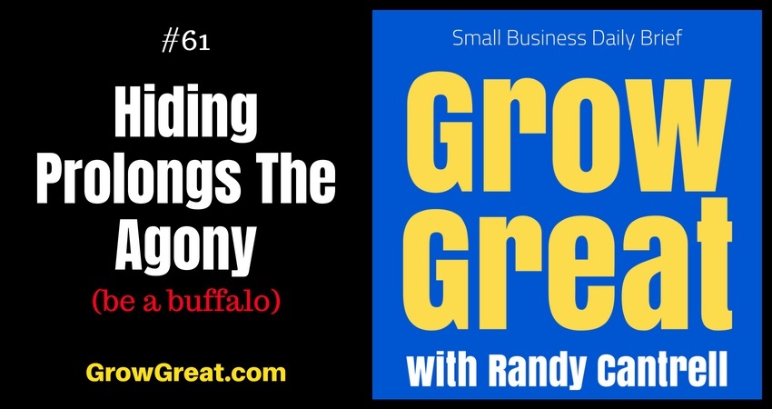 Hiding Prolongs The Agony (be a buffalo) – Grow Great Small Business Daily Brief #61 – August 15, 2018
