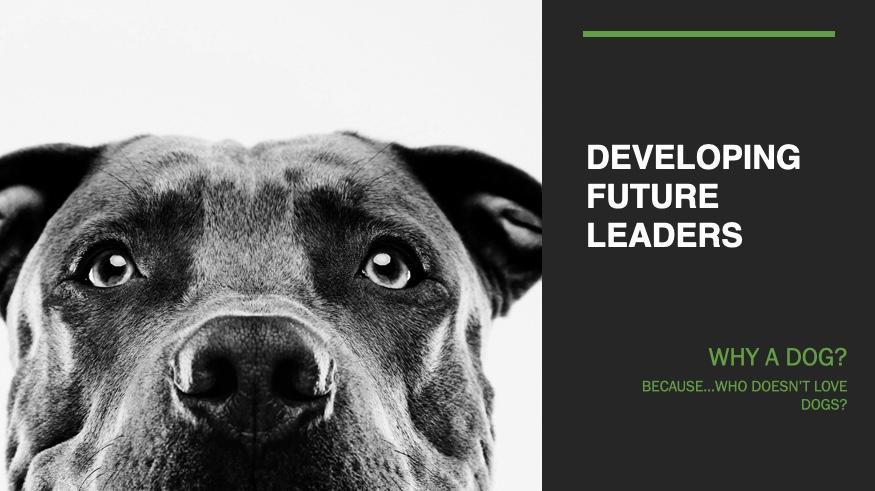 Developing Future Leaders - Steve Dye