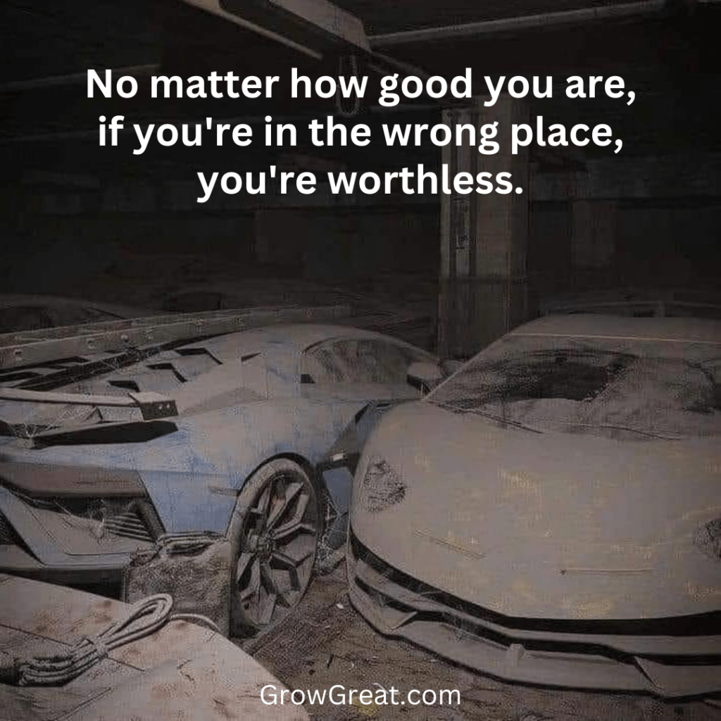 No matter how good you are, if you're in the wrong place, you're worthless