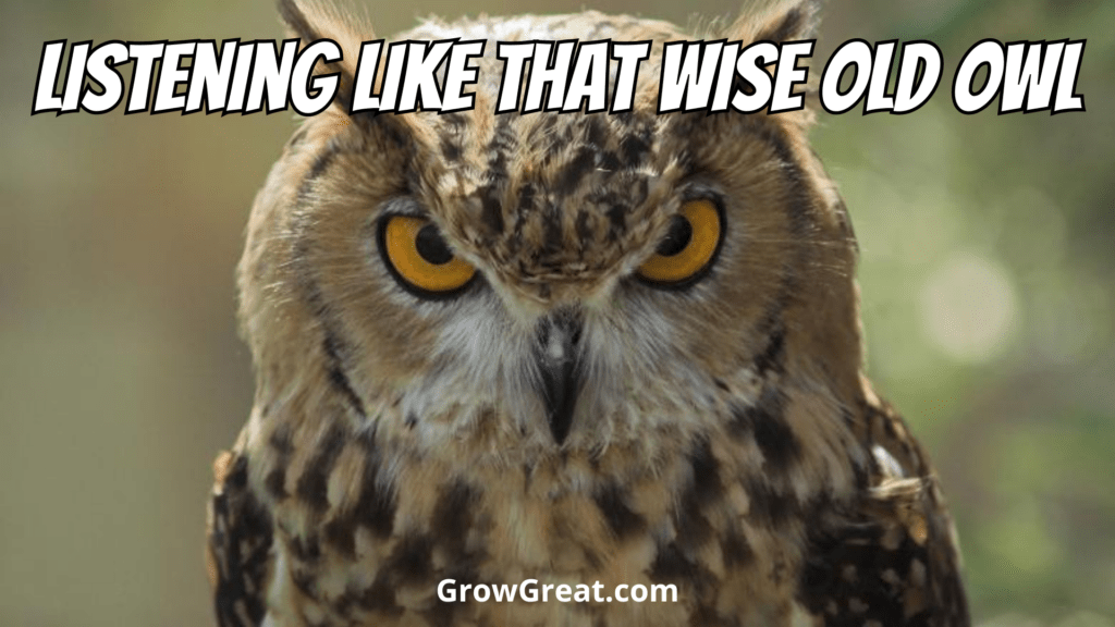 Listening Like That Wise Old Owl