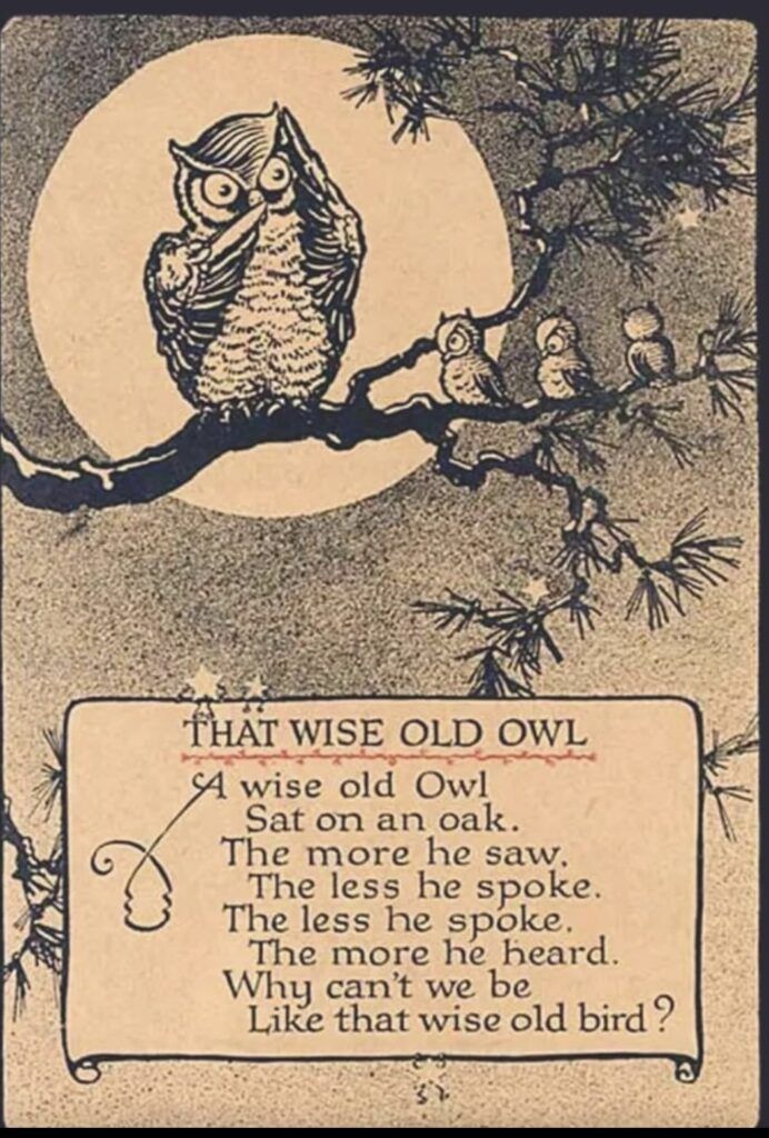 That Wise Old Owl